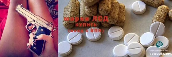 крисы Абаза