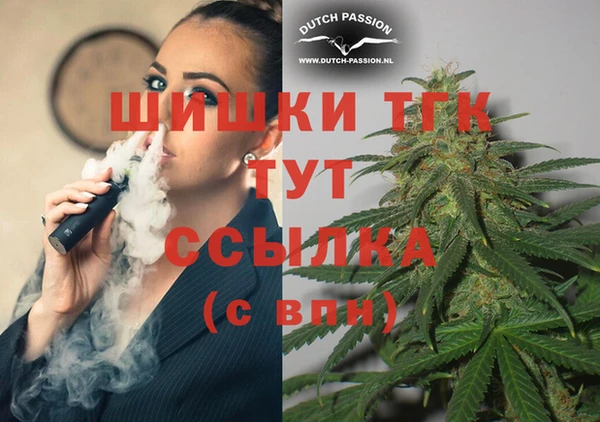 крисы Абаза