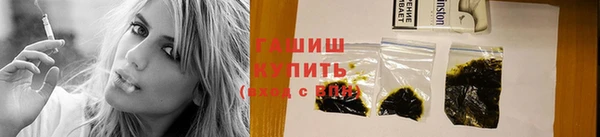 крисы Абаза