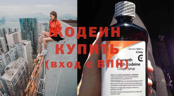 крисы Абаза