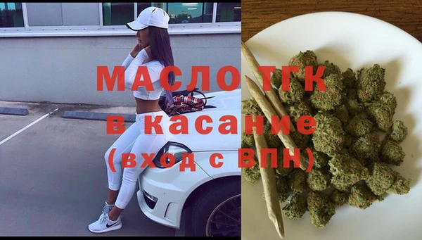 крисы Абаза