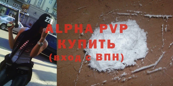 крисы Абаза