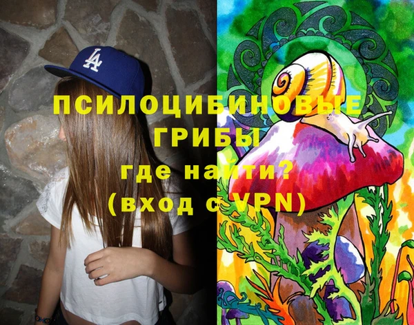 крисы Абаза