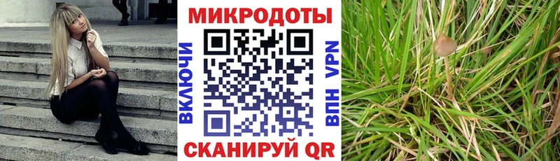 Псилоцибиновые грибы ЛСД где можно купить наркотик Людиново