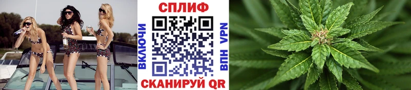 купить   Людиново  МАРИХУАНА индика 